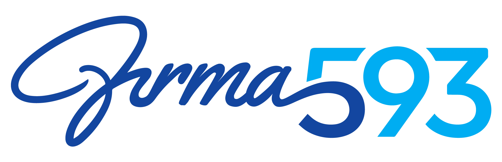 Firma 593